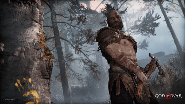 God Of War - Steam Offline